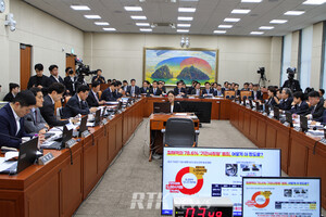 [2026 국감] 장기렌터카 계약 끝나자 1000만원 추가 청구...피해 민원은 ... - 뉴스 썸네일 이미지